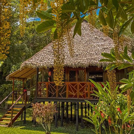 Corto Maltes Amazonia Lodge Puerto Maldonado Esterno foto