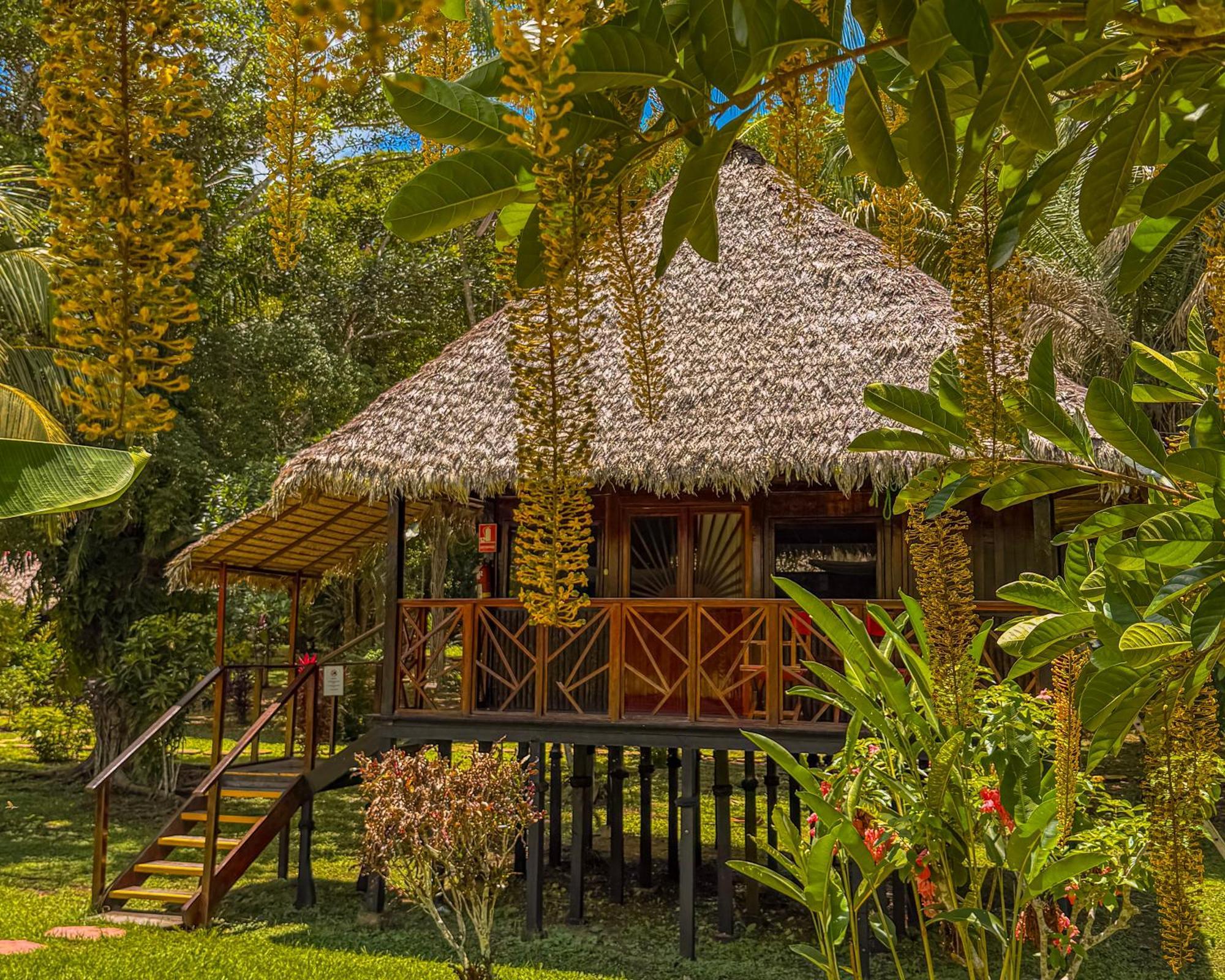Corto Maltes Amazonia Lodge Puerto Maldonado Esterno foto