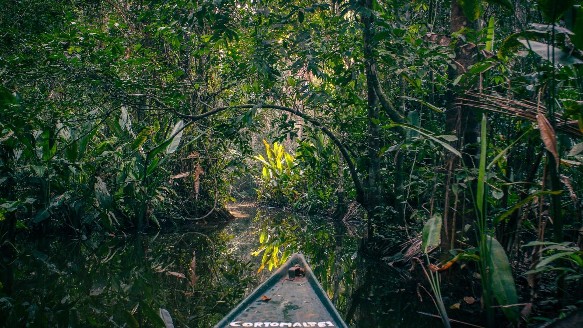 Corto Maltes Amazonia Lodge Puerto Maldonado Esterno foto