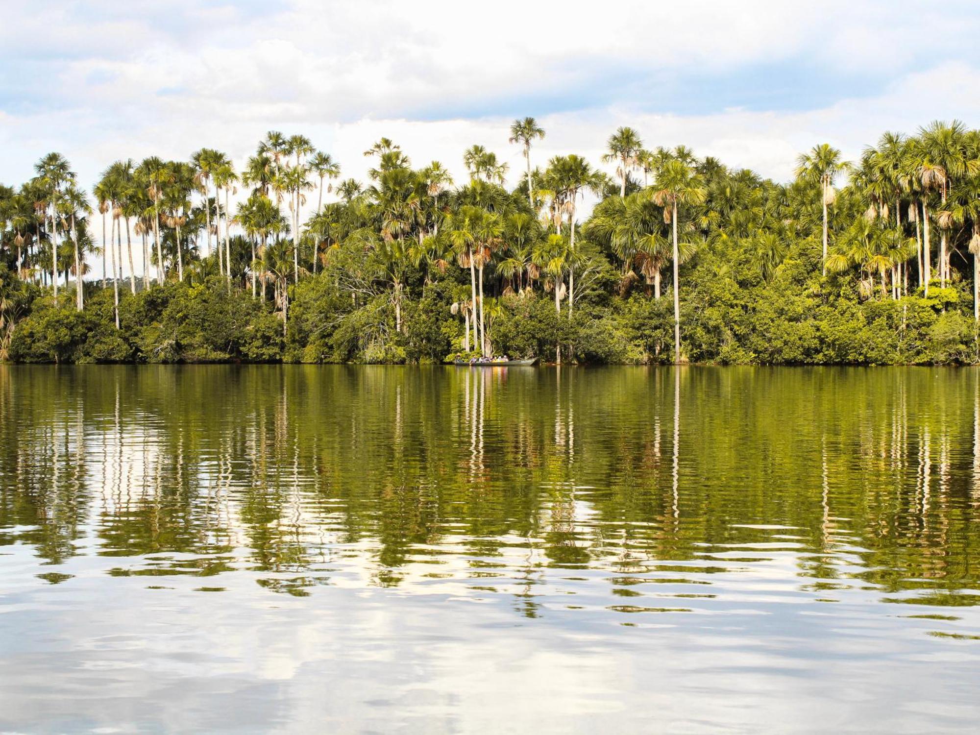 Corto Maltes Amazonia Lodge Puerto Maldonado Esterno foto
