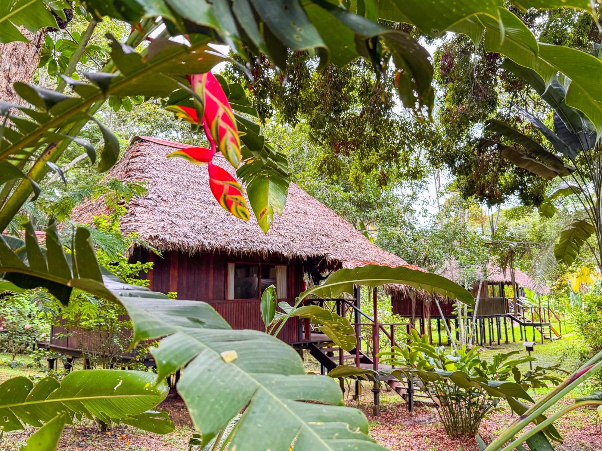 Corto Maltes Amazonia Lodge Puerto Maldonado Esterno foto