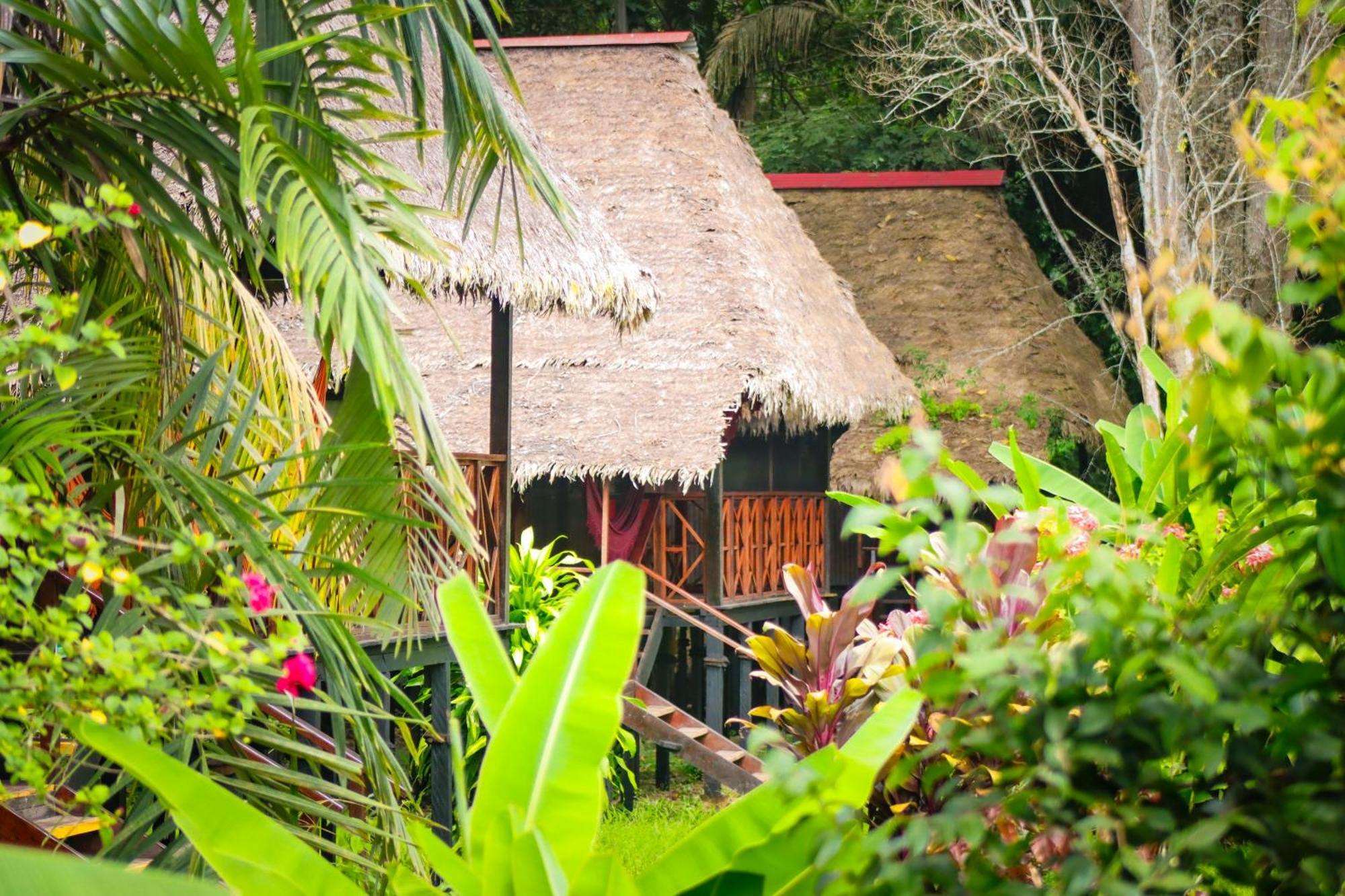 Corto Maltes Amazonia Lodge Puerto Maldonado Esterno foto