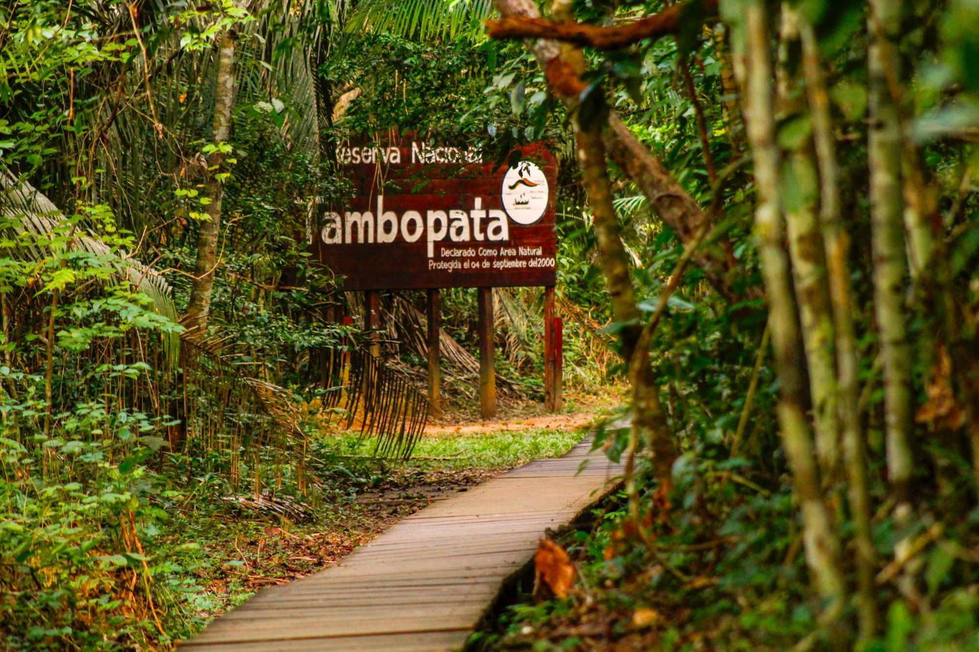 Corto Maltes Amazonia Lodge Puerto Maldonado Esterno foto