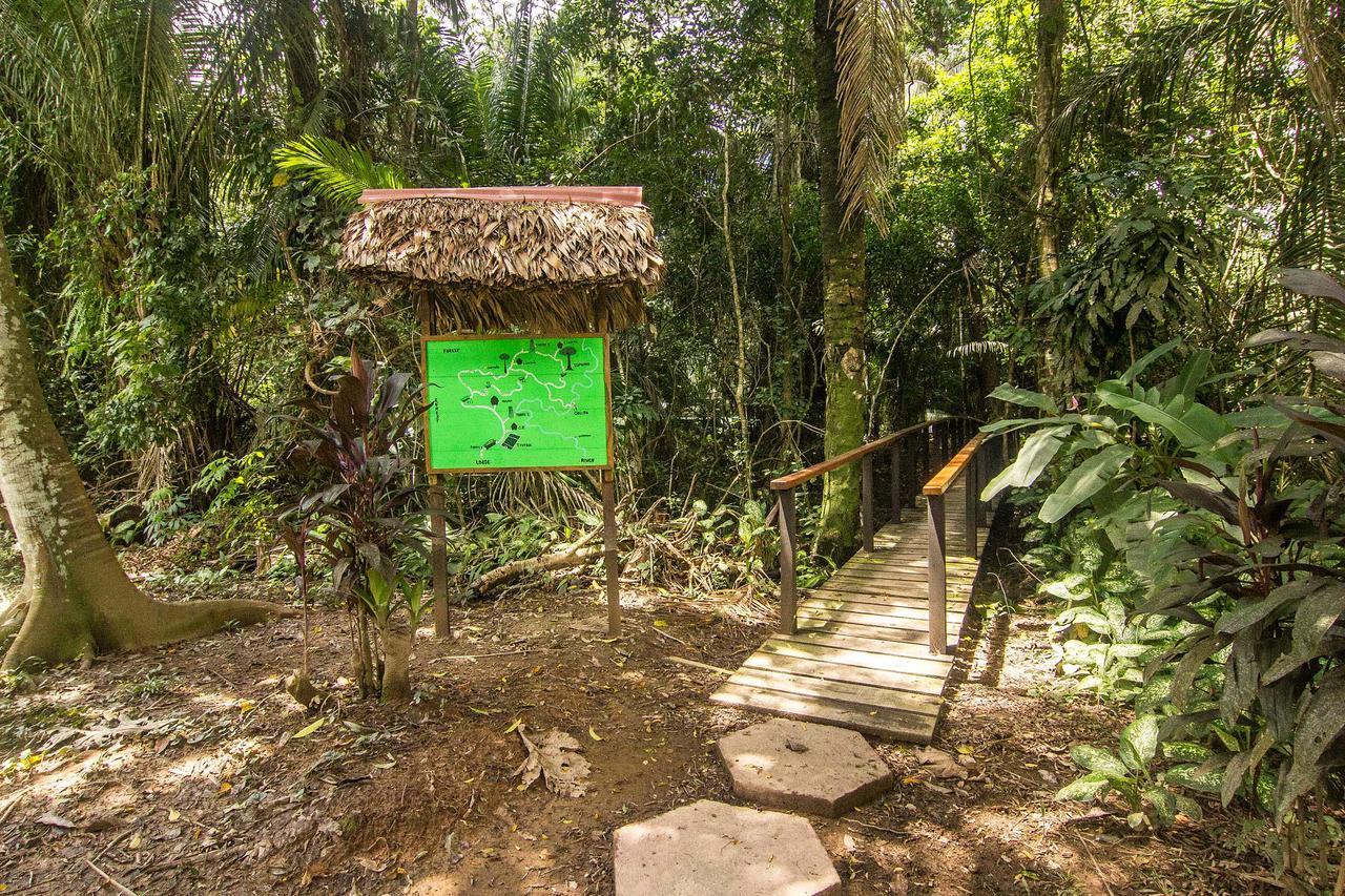 Corto Maltes Amazonia Lodge Puerto Maldonado Esterno foto