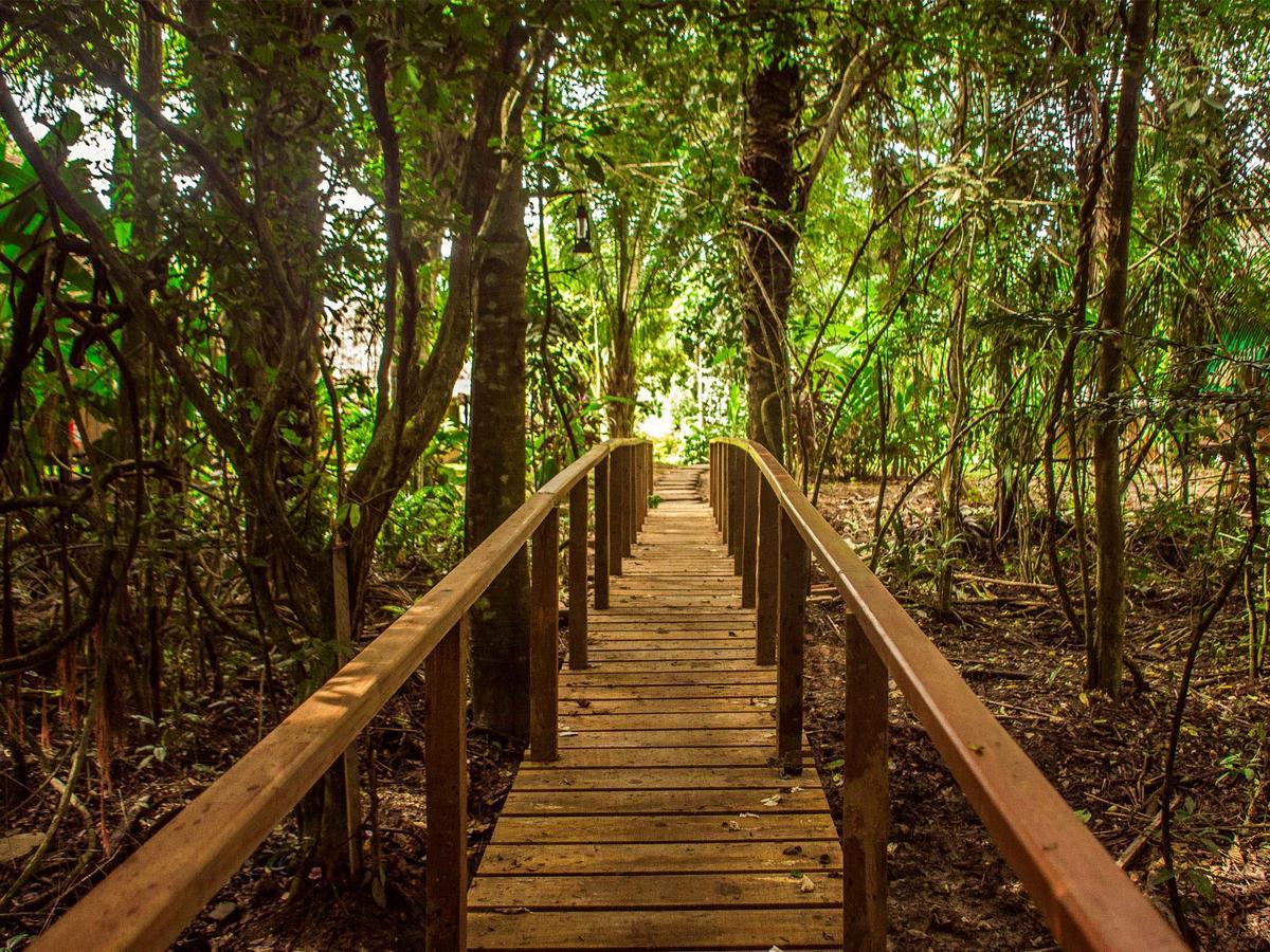 Corto Maltes Amazonia Lodge Puerto Maldonado Esterno foto